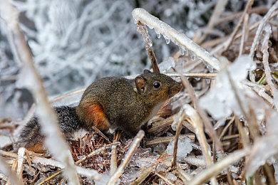 《The Valiant》新预告片展示了“最后一人”合作模式